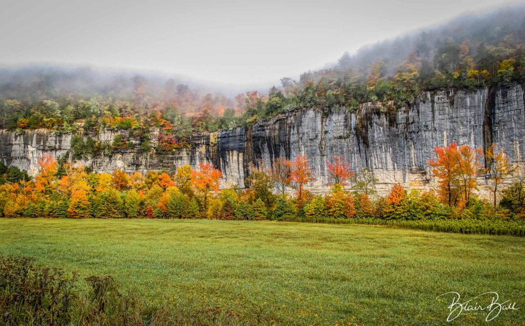 Arkansas Fall Colors Photo