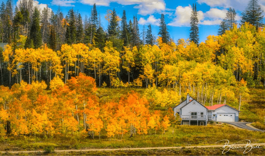 Fall Colors in Colorado
