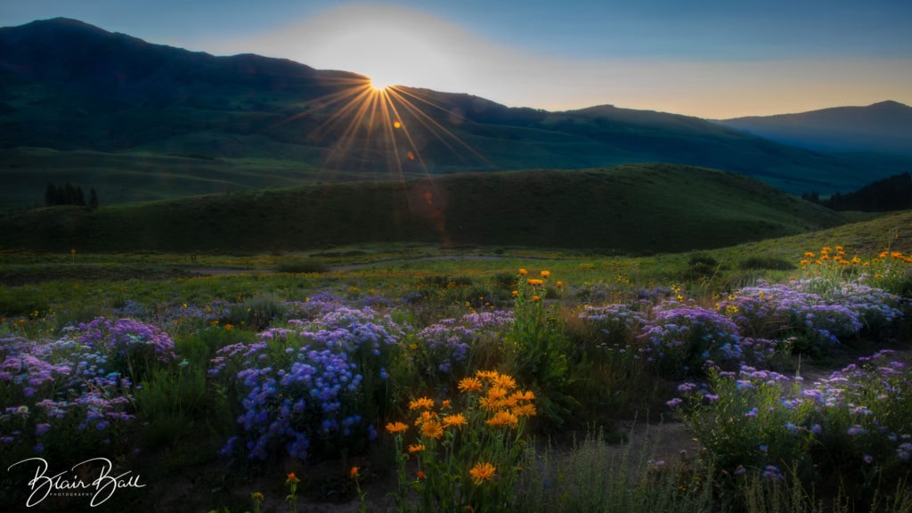 Wildflower Valley Sunrise - Crested Butte Colorado - ©Blair Ball Photography