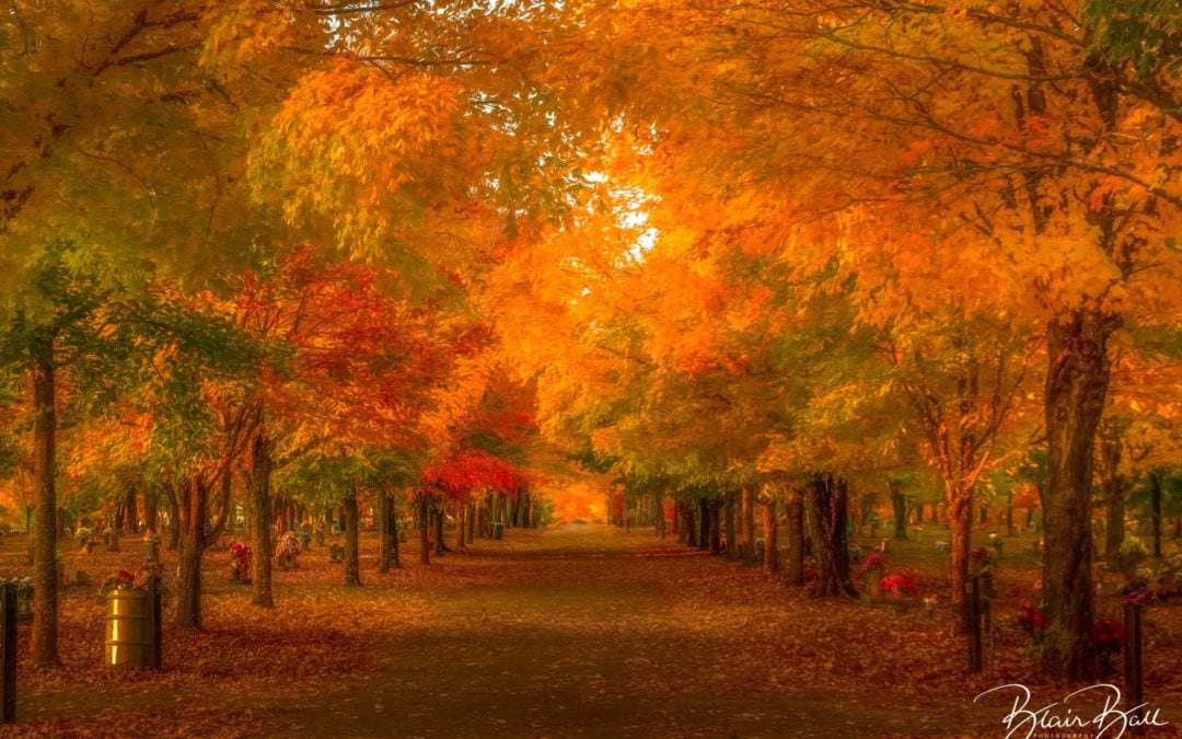 Fall Colors of Arkansas