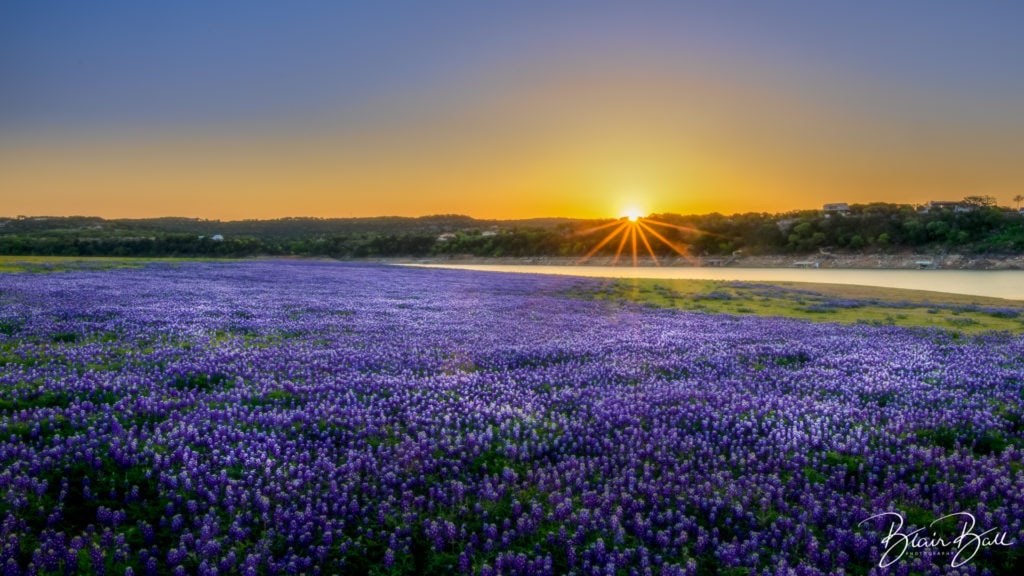 Texas Bluebonnets Hill Country Sunrise - ©Blair Ball Photography Image