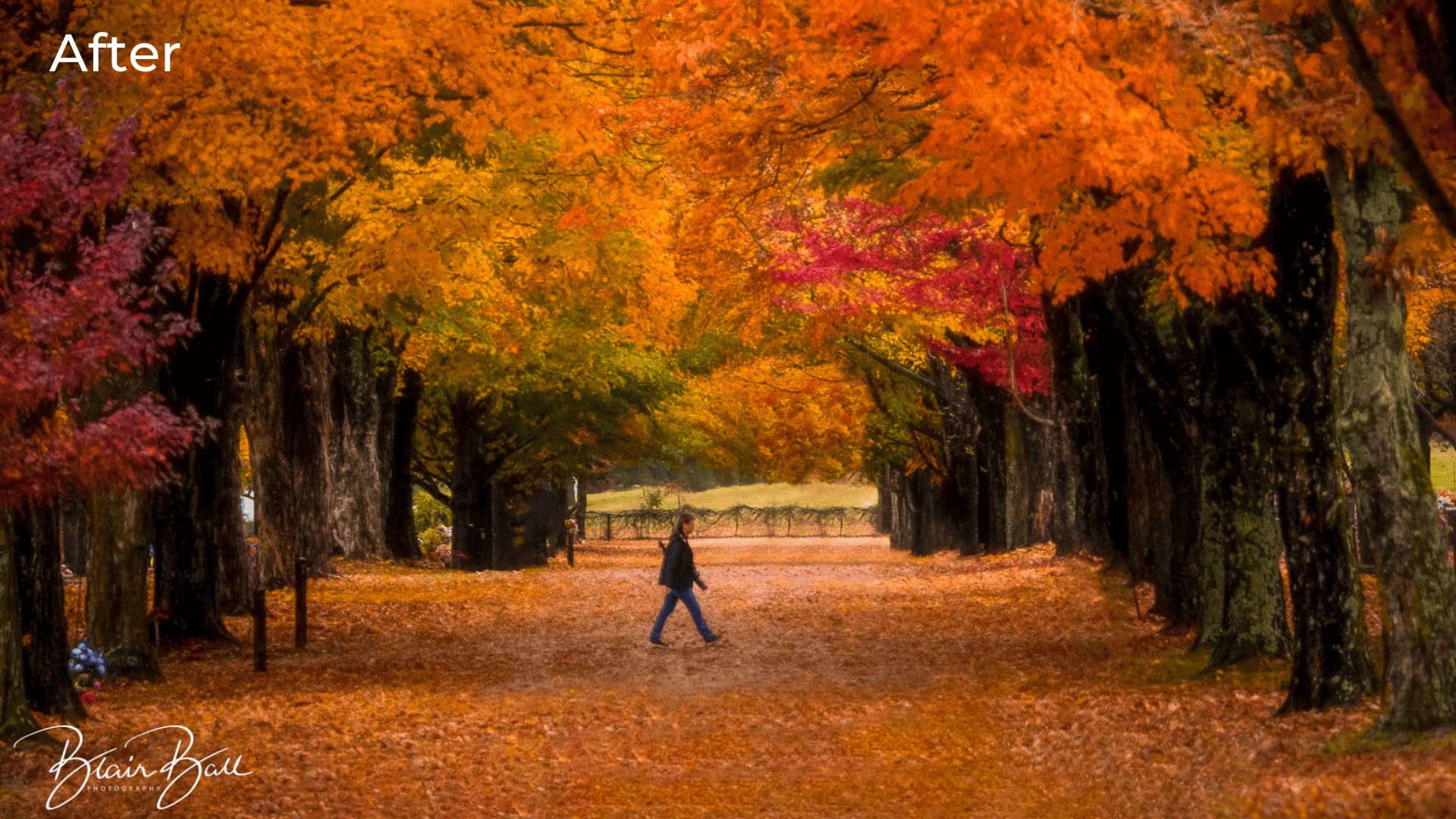 Arkansas Fall Colors Ozark Mountains - After - ©Blair Ball Photography Image