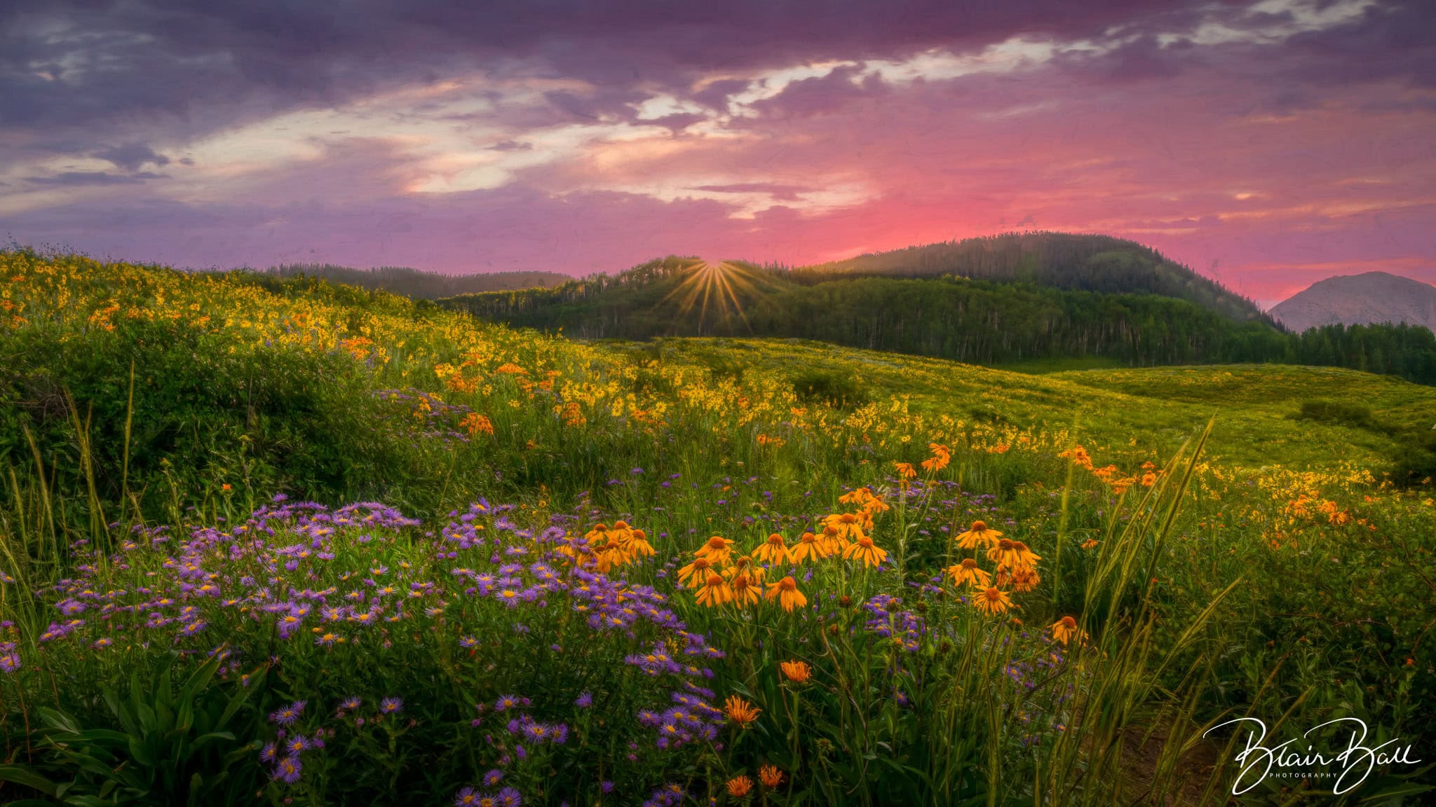Colorado sunset over field of wildflowers near Crested Butte Colorado. 